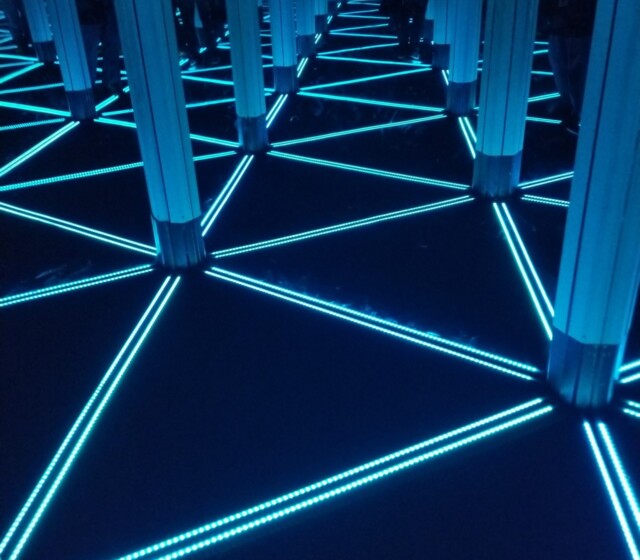 Holiday Social at the Museum of Science and Industry, 2019