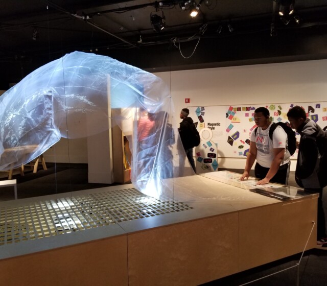 Holiday Social at the Museum of Science and Industry, 2019