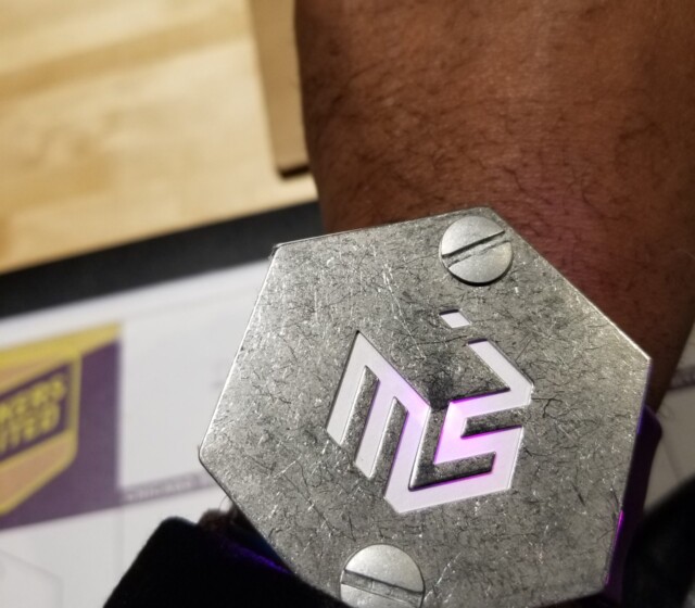 Holiday Social at the Museum of Science and Industry, 2019