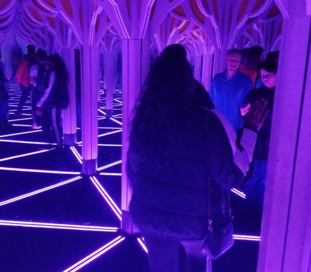 Holiday Social at the Museum of Science and Industry, 2019